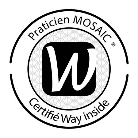 logo Thérapie praticien mosaic tse à Bassan et Nant | Magdeleine Dionisi